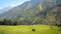 Рисовое поле и горы