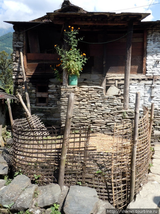 Вокруг Аннапурны - 36. Шикха - Читре Зона Дхавалагири, Непал