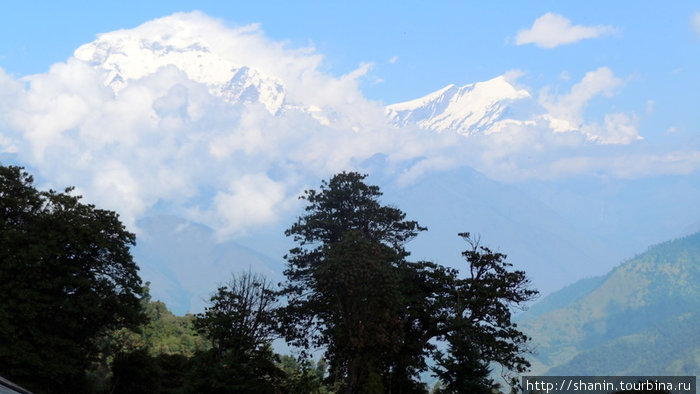 Вид из Горепани на Гималаи Зона Дхавалагири, Непал