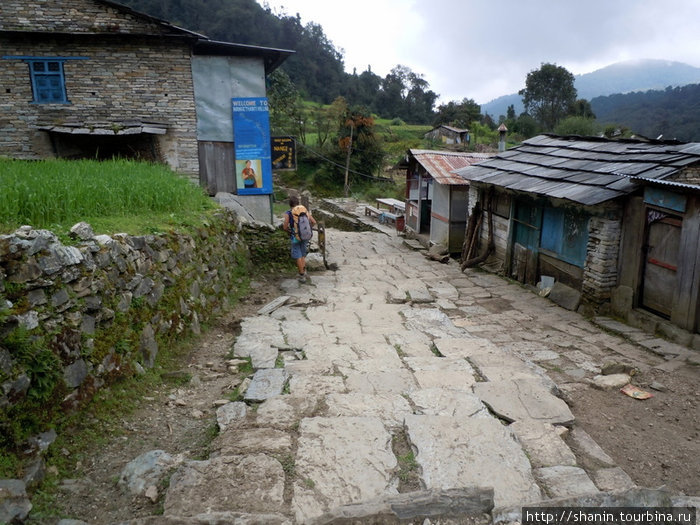 В деревне Нанг Тханти Зона Дхавалагири, Непал