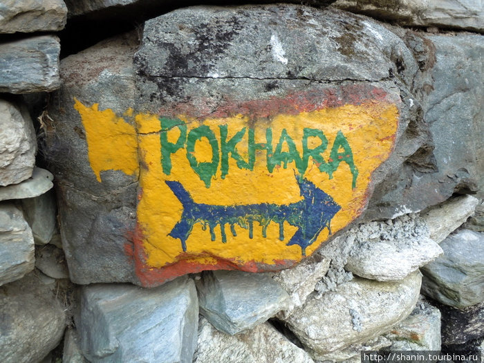 Правильной дорогой идете товарищи — на Покхару! Зона Дхавалагири, Непал