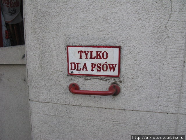 Польский язык похож на русский Варшава, Польша