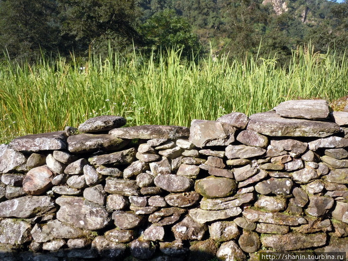 Каменная изгород рисового поля Зона Дхавалагири, Непал