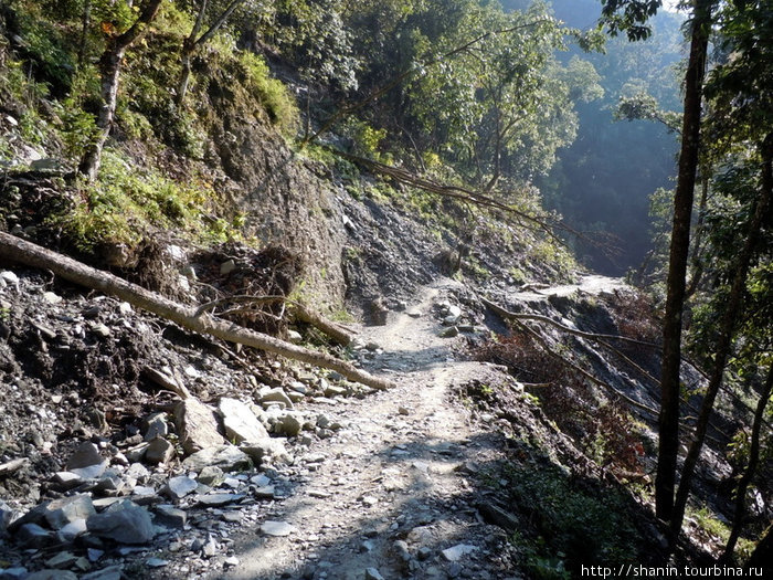 Штрокая тропа Зона Дхавалагири, Непал