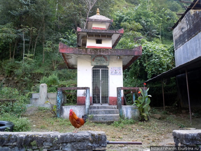 Вокруг Аннапурны - 43. Биретханти - Покхара Покхара, Непал