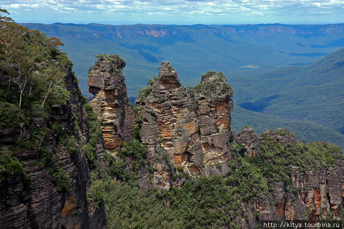 Визитная карточка Голубых гор, скалистые утёсы Три сестры Катумба, Австралия
