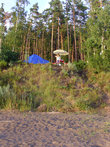 Анашенский бор на берегу водохранилища-отменное место отдыха. 250км от Красноярска