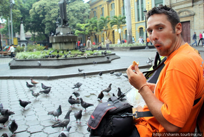 Олег Семичев взялся покормить голубей, заодно и сам позавтракал Медельин, Колумбия