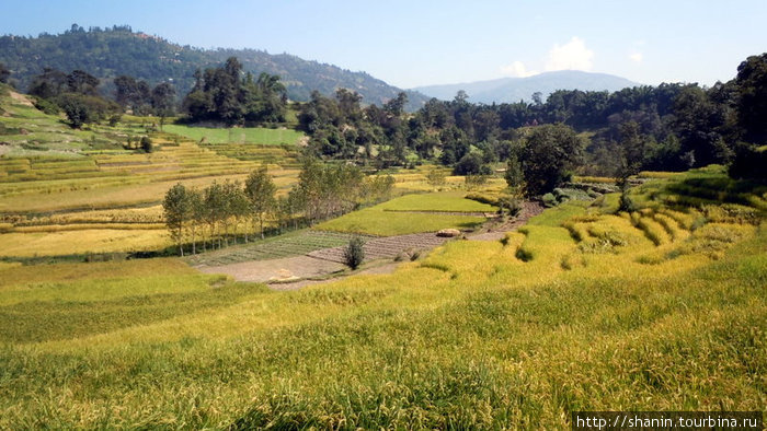 На окраине долины приходится делать террасы Зона Багмати, Непал