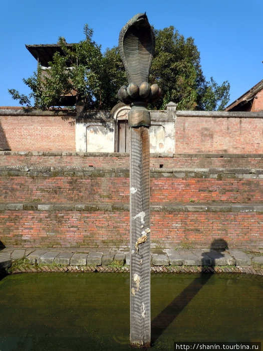 Священная змея на столбе посреди бассейна Бхактапур, Непал