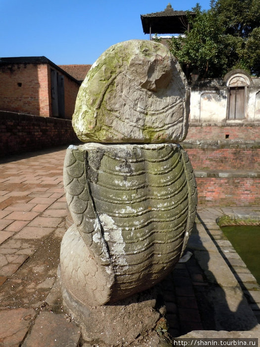 Каменная кобра Бхактапур, Непал