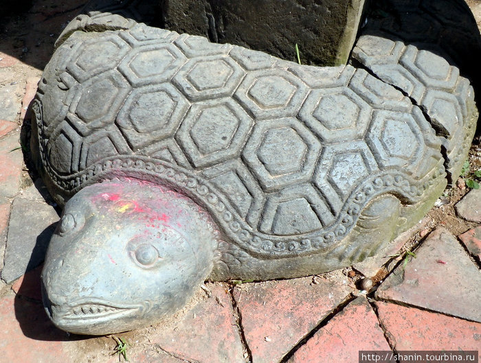 Каменная черепаха Чангу-Нароян, Непал