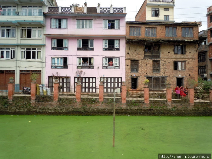 Зазеленевший пруд Киртипур, Непал