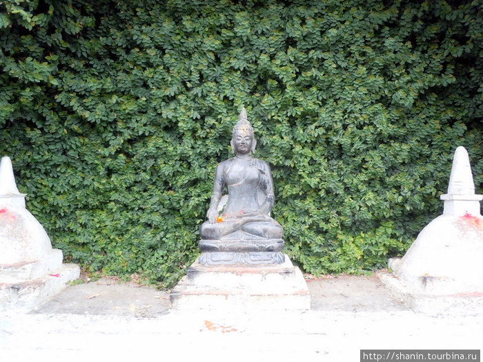 Будда у стены Киртипур, Непал