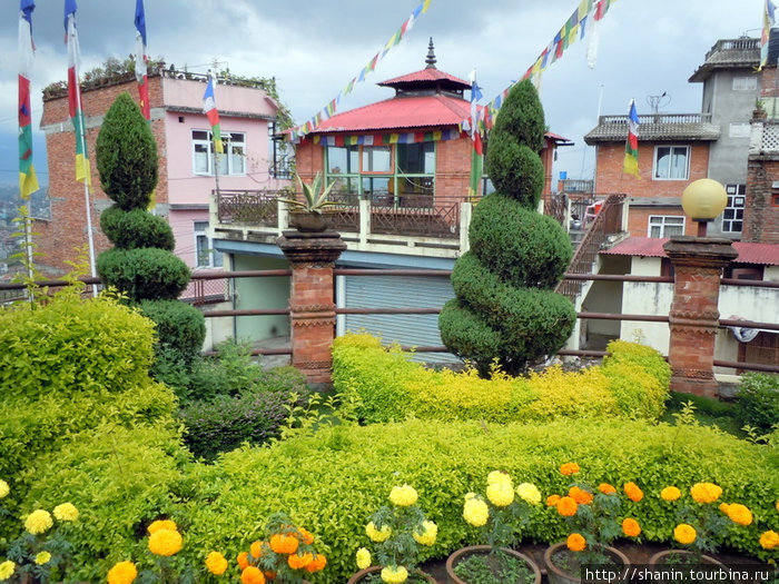 Цветник на территории тибетского монастыря в Киртипуре Киртипур, Непал