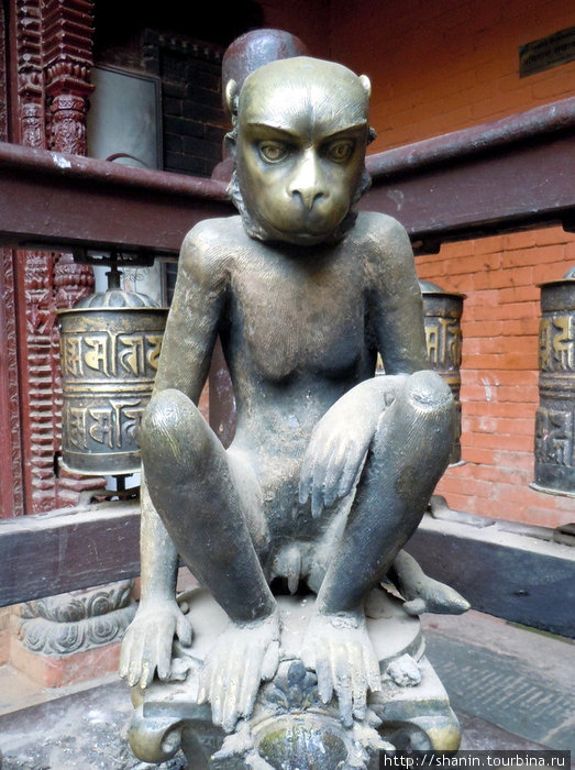 Обезьяна Патан (Лалитпур), Непал