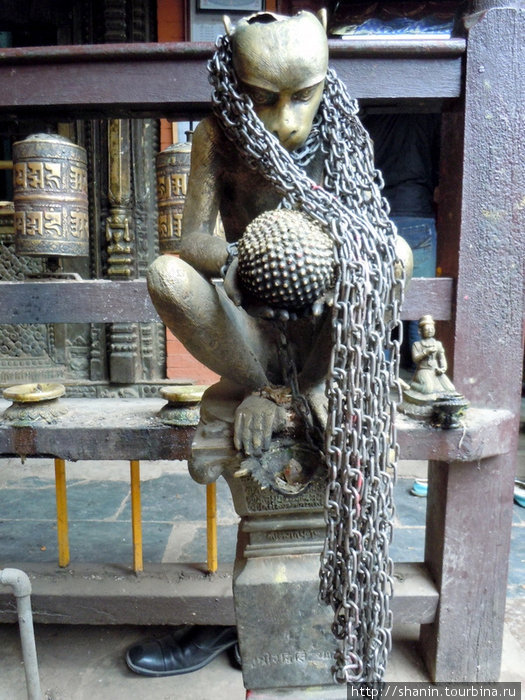 Обезьяна в цепях Патан (Лалитпур), Непал