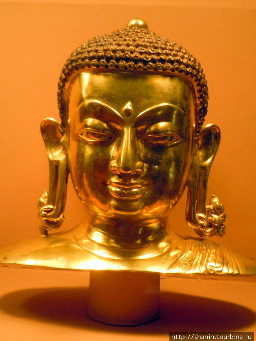 Золотой лоб. Золотая голова Будды. Золотой голова золото. Голова в золотистое. Картинка Золотая голова.