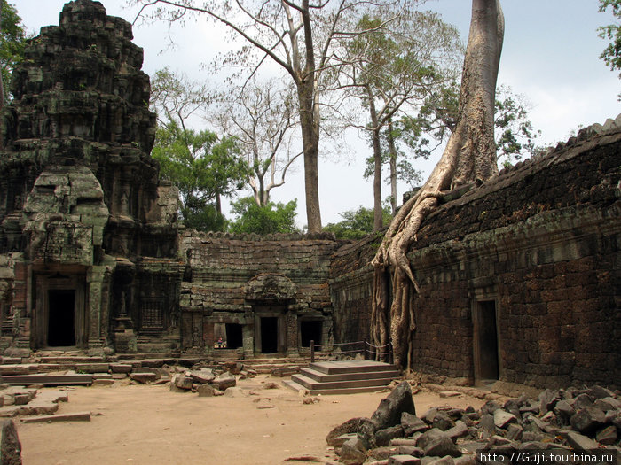 Cambodia (Jan, 2010) Камбоджа