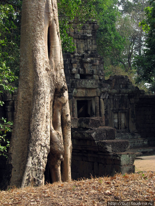 Cambodia (Jan, 2010) Камбоджа