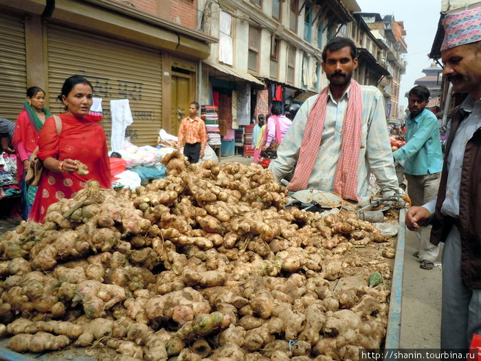 Торговец корнями имбиря Патан (Лалитпур), Непал