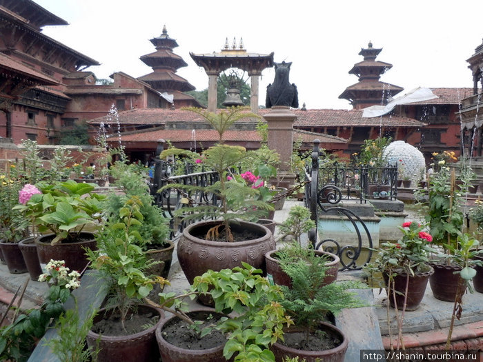 Цветы на площади Дурбар в Патане Патан (Лалитпур), Непал