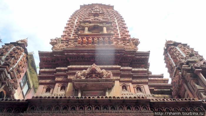 Храм Махавихара Патан (Лалитпур), Непал