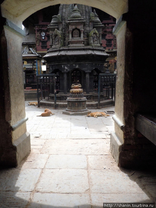 Вход в храм Киртипур, Непал