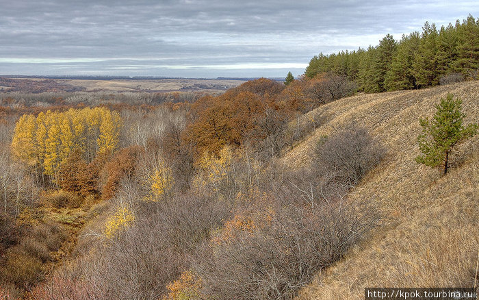 Осенние краски и текстуры Урюпинск, Россия