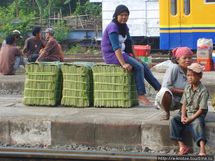 Индонезийские железные дороги! Ява, Индонезия