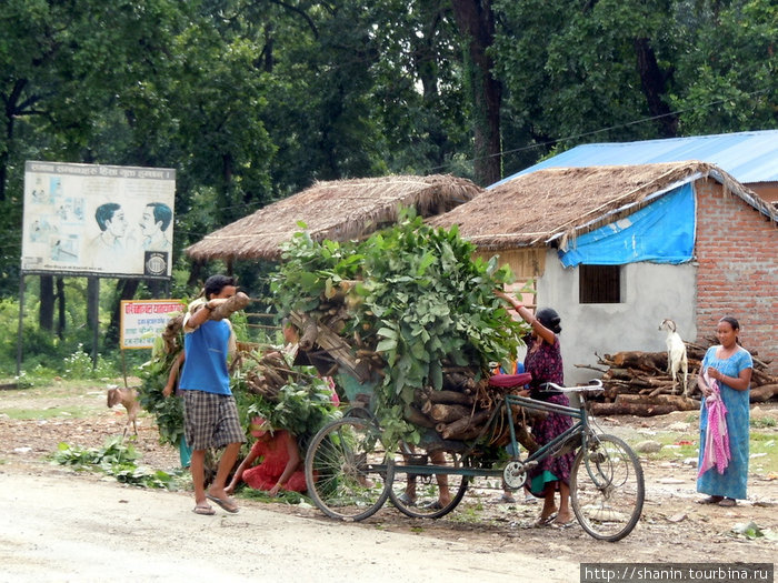 Велосипед с дровами Непал