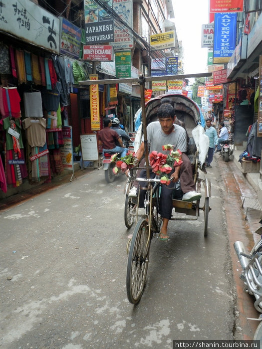 В Тамеле велорикш очень много Непал
