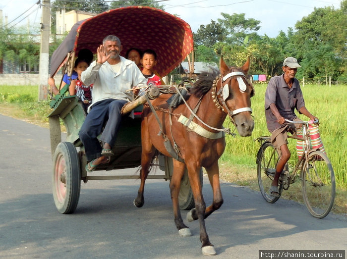 Основные виды транспорта — гужевой и велосипедный Непал