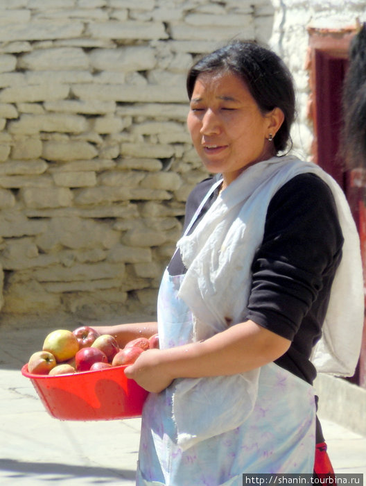 В Марфе как раз урожай яблок Непал