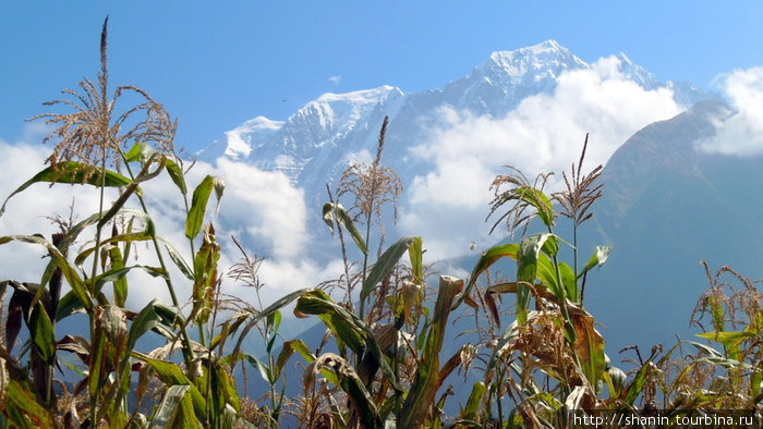 Горы, горы, горы Непал