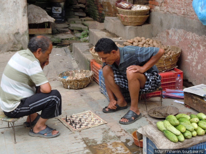 Шахматисты увлечены игрой Непал