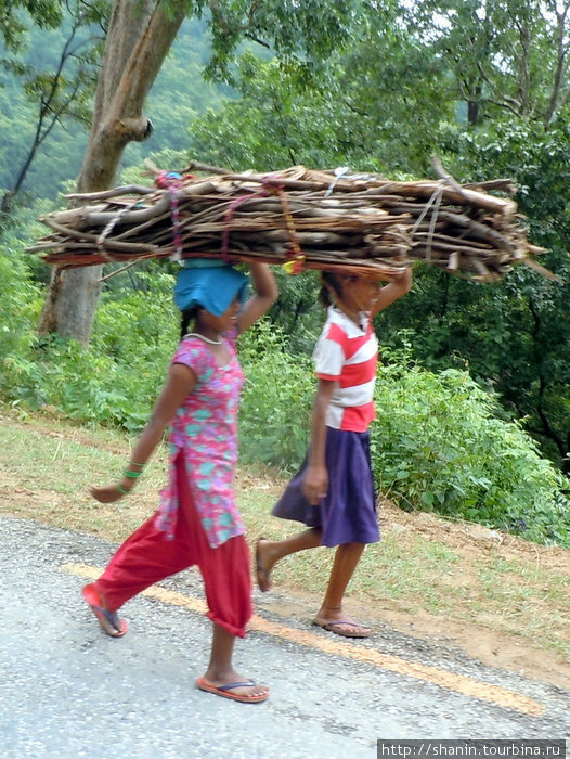 Транспортировка дров Непал
