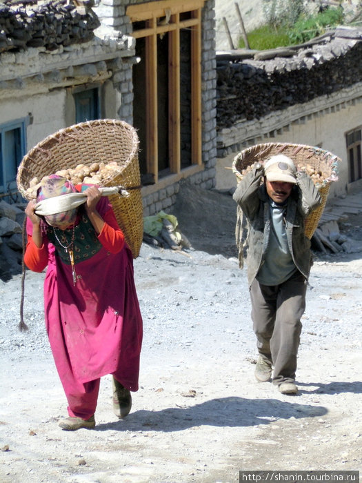 Портеры Непал