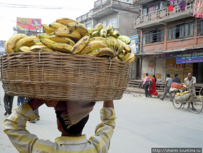 Торговец бананами Непал