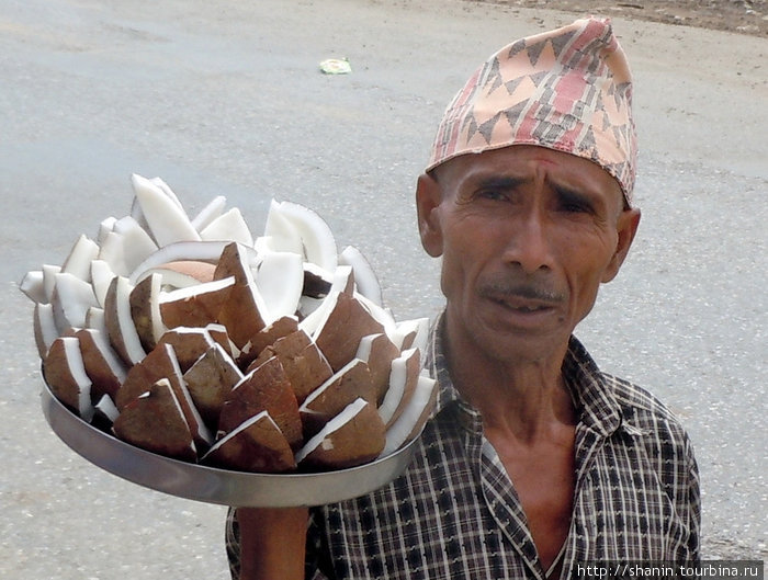 Торговец с кокосовым орехом Непал