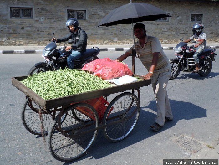 Торговец с тележкой Непал
