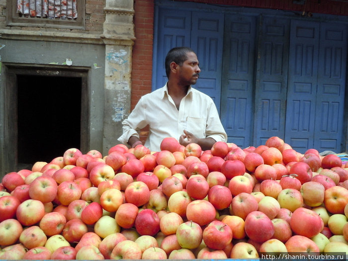 Торговец яблоками Непал