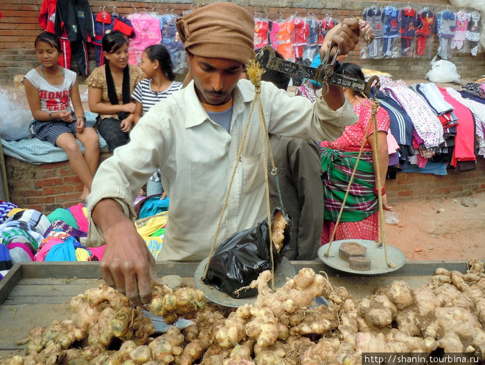 Торговец корнями имбиря Непал