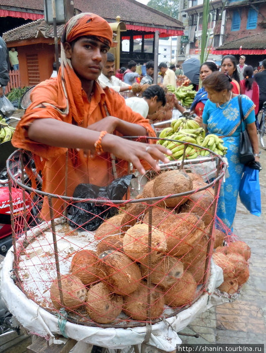Торговец кокосовыми орехами Непал