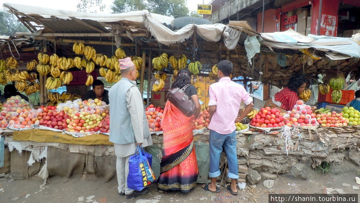 Длинный прилавок с фруктами Непал