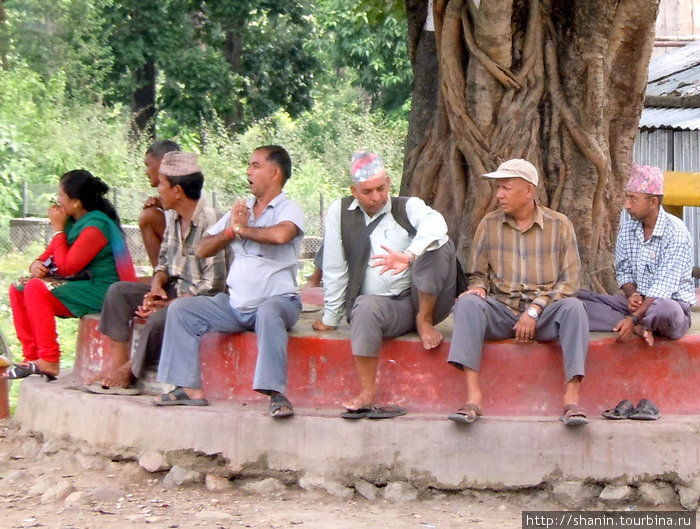 Деревенская тусовка под деревом Зона Нараяни, Непал