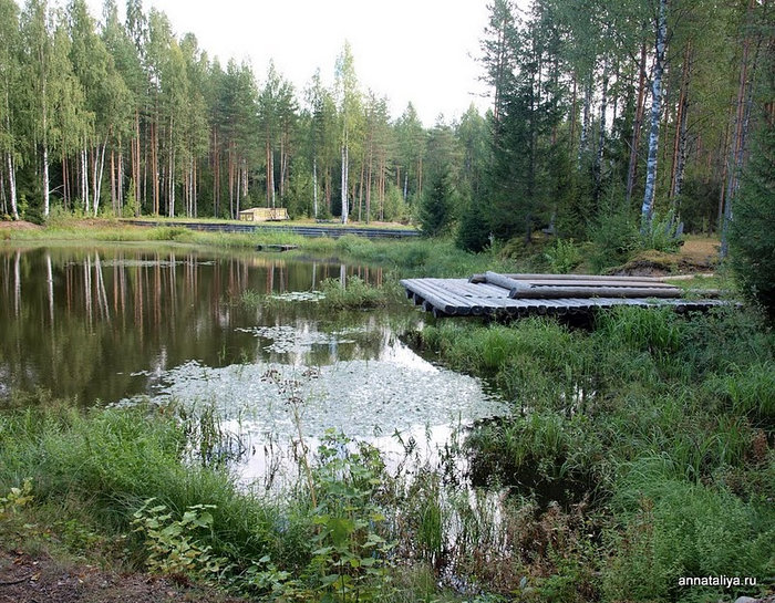 Лесной пруд Верхние Мандроги, Россия