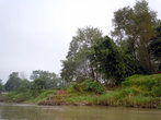 Берег реки Рапти