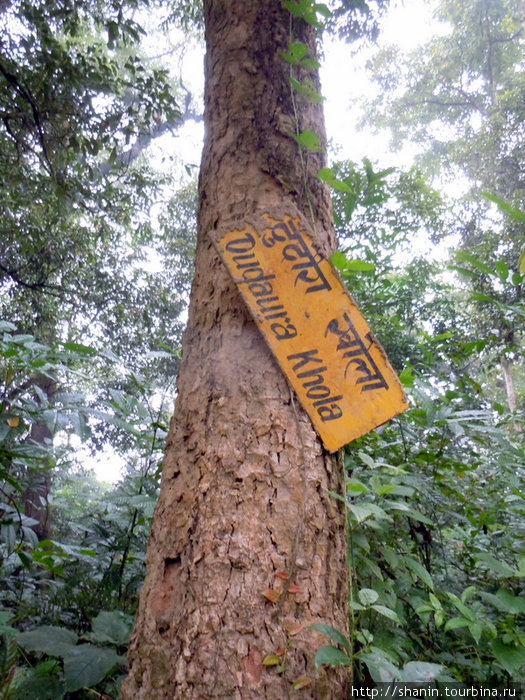 Табличка на дереве Зона Нараяни, Непал