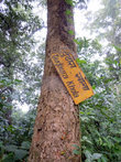 Табличка на дереве